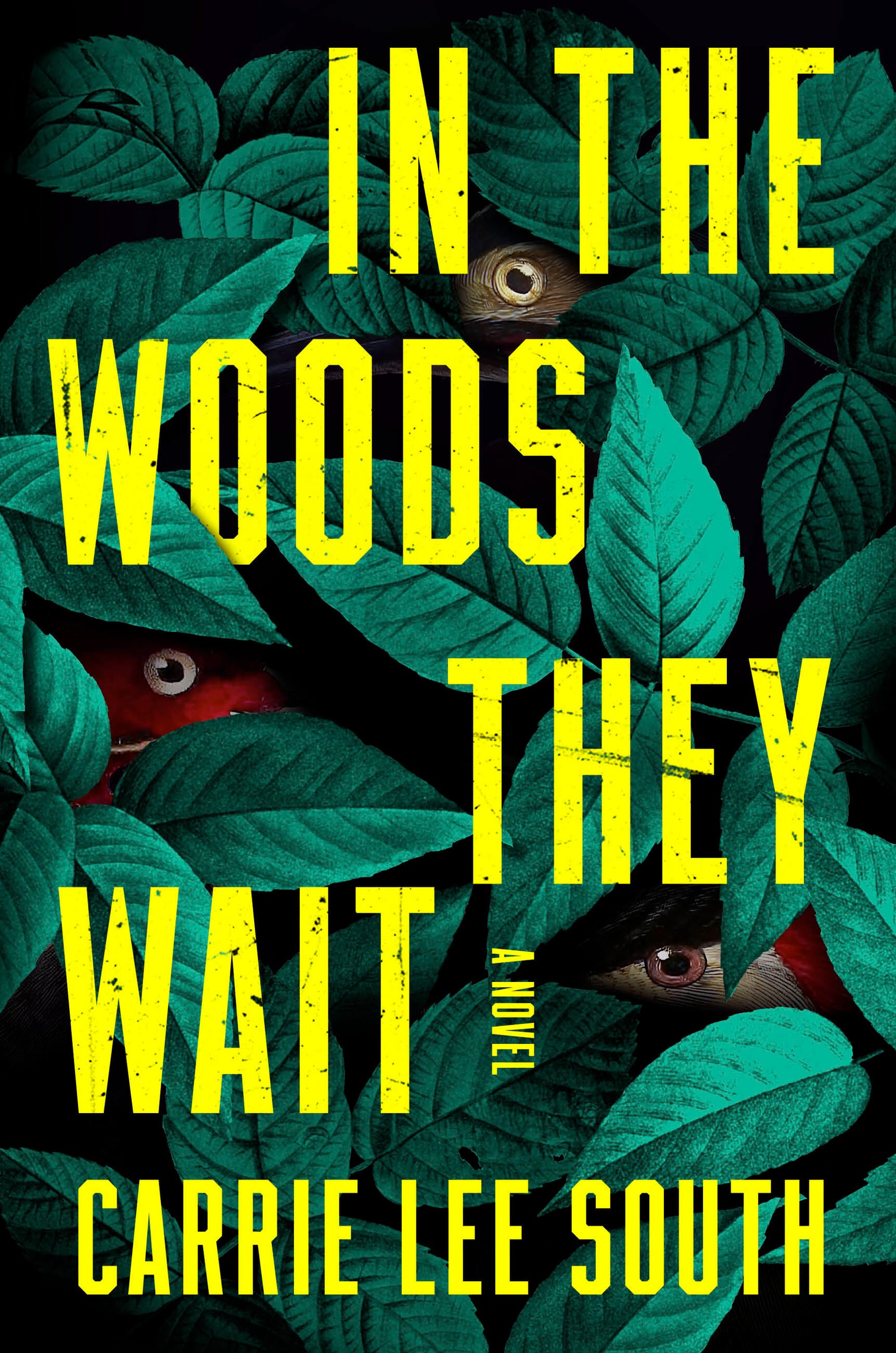 In the Woods They Wait